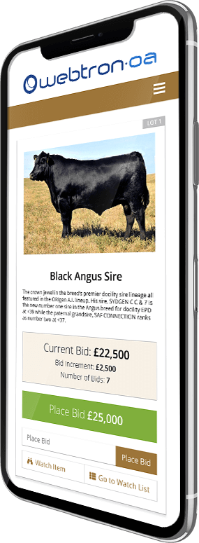 Live Streaming NZ Auction on a Smart Phone