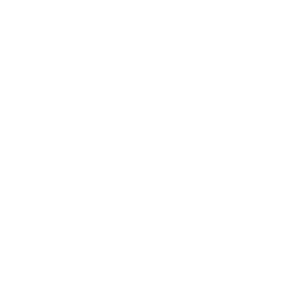 national-auctioneers-association-white